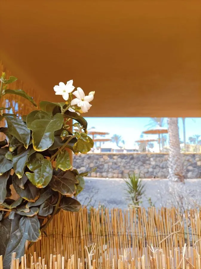 Apartamento Mai Fuerteventura Corralejo